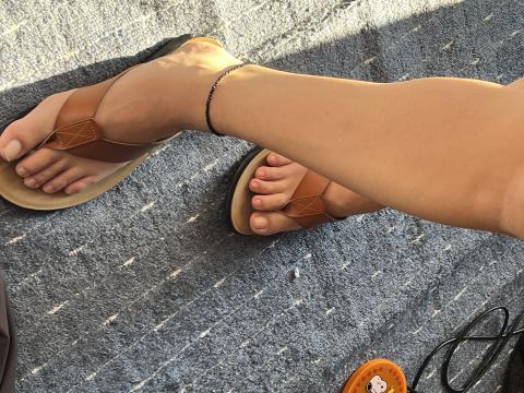 夏物のサンダルをしまおうと思ってたら・・・