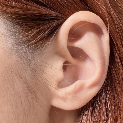 みぃのお耳です///