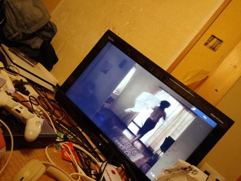 風北朝鮮と日本同家族中内小限極