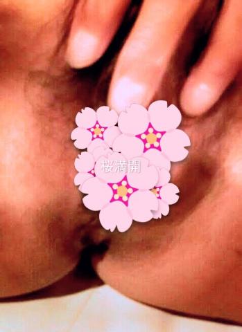 桜満開　　アソコもマン開