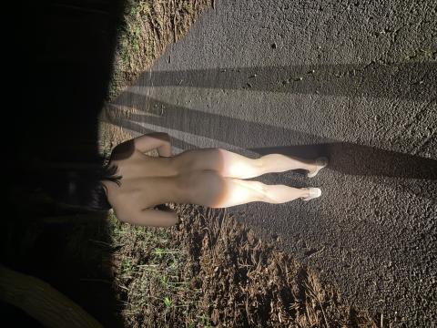 お散歩してきました