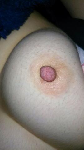 おっぱい