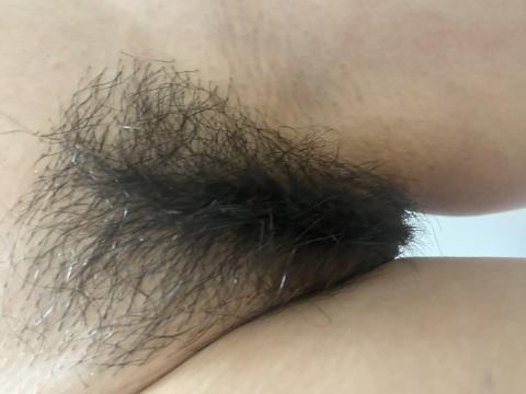 剛毛