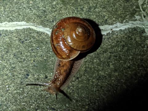 ？？？