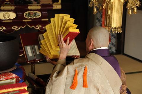 こんばんは匿名・流動型犯罪グループです