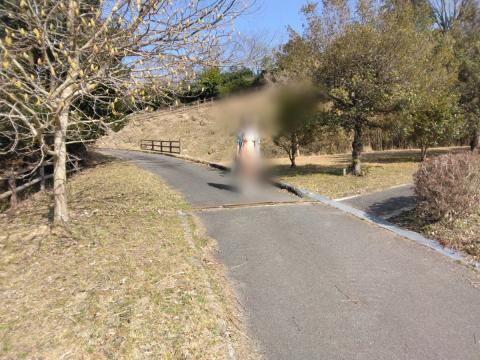 (無題)