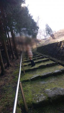 (無題)