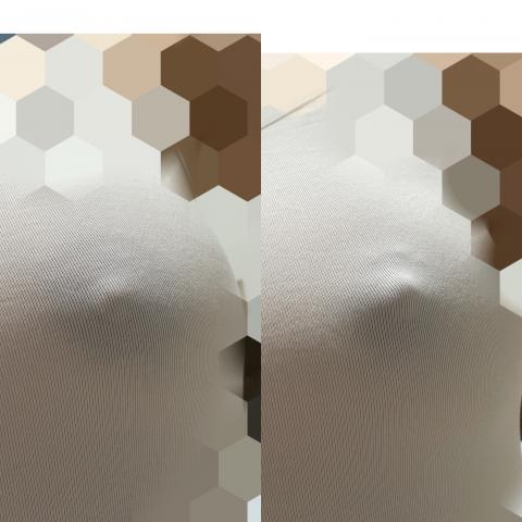 どっちが好き？