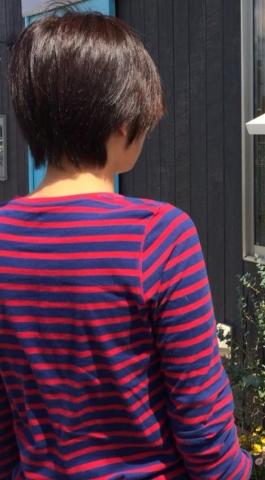 清楚系で独身です