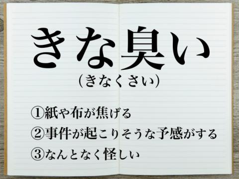 ここな（♂）詐欺