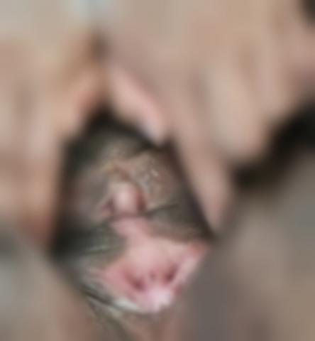 朝から