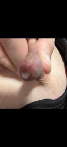 (無題)