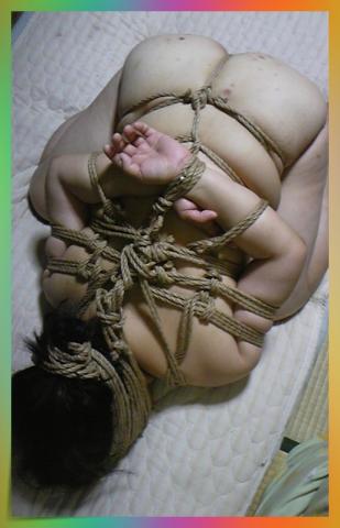 依頼調教は私の仕事であります