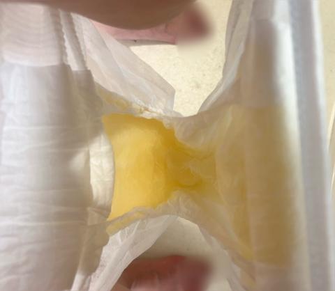 家畜肉便器奴隷・完全管理しています